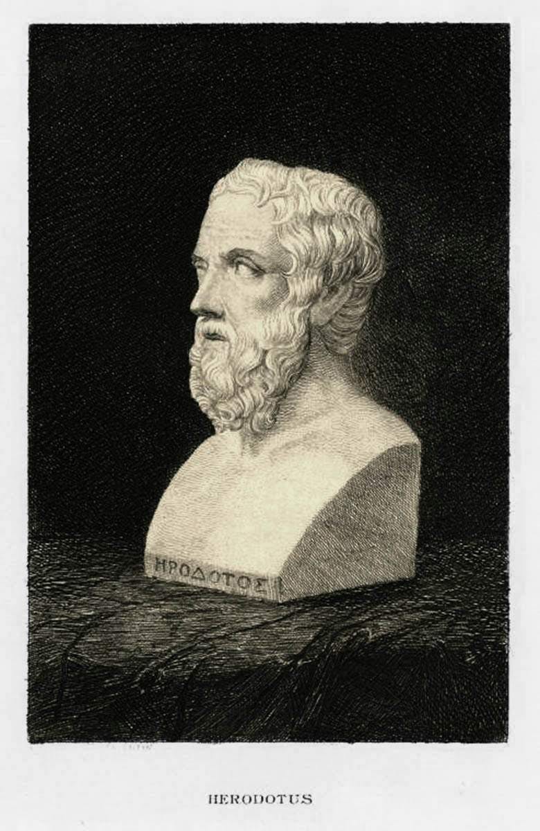 herodotus bust