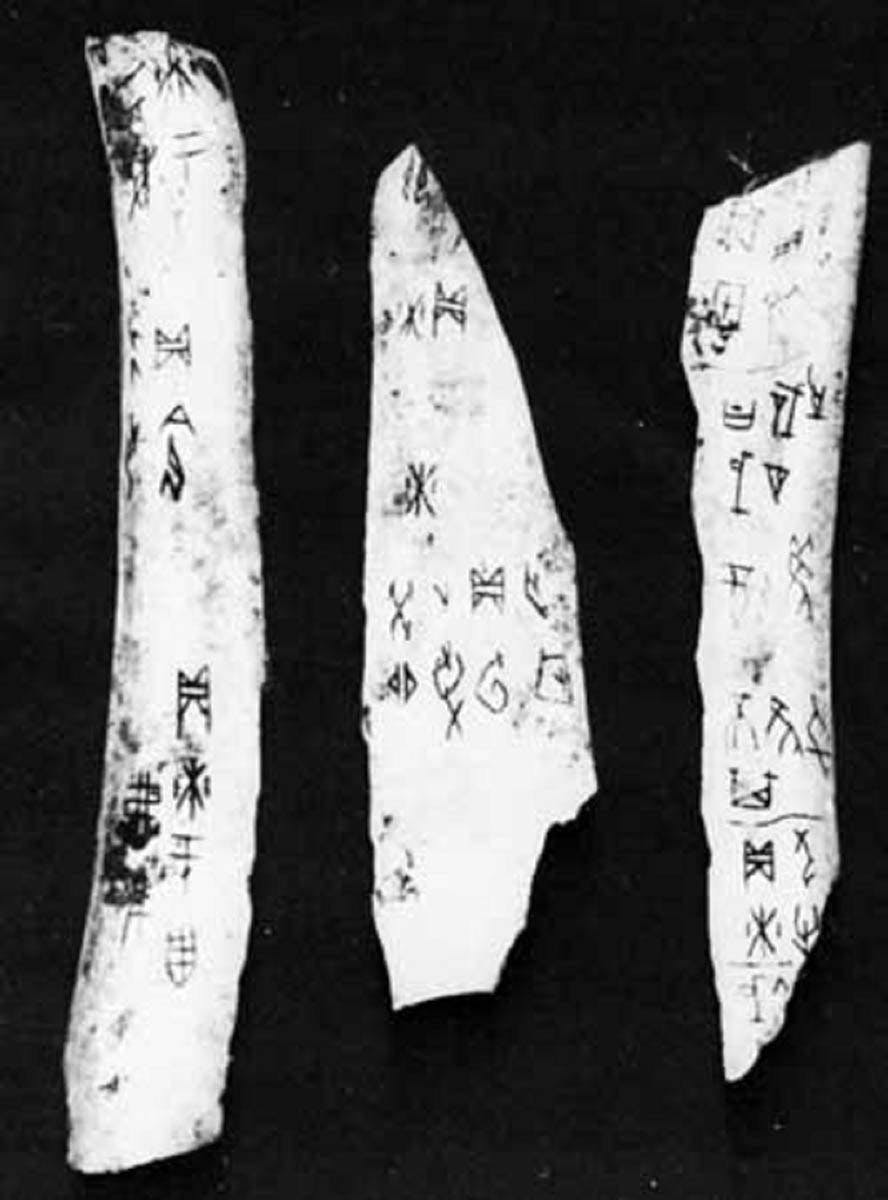 china oracle bone inscriptions
